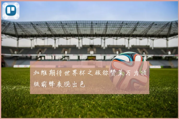 加维期待世界杯之旅称赞莱万为顶级前锋表现出色